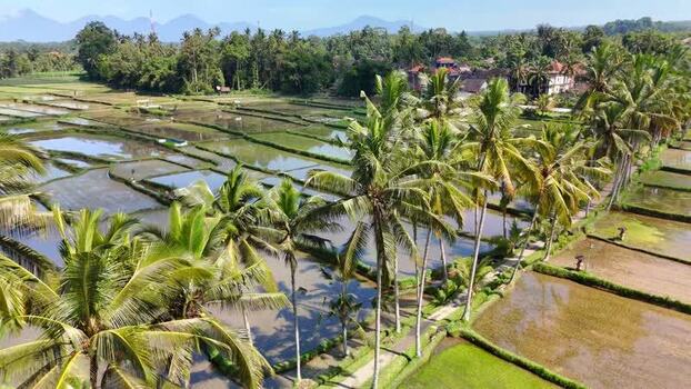 Aerial view of Banjar mancingan Rice trekking in Bali Indonesia. Aerial view of Banjar mancingan Rice trekking in Bali Indonesia.