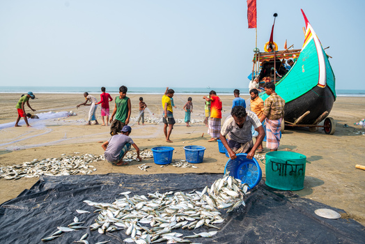 Teknaf Bangladesh 10 March 2026 View of fishermen sorting their catch on the beach a vibrant tableau of labor against the backdrop of a fishing boat.