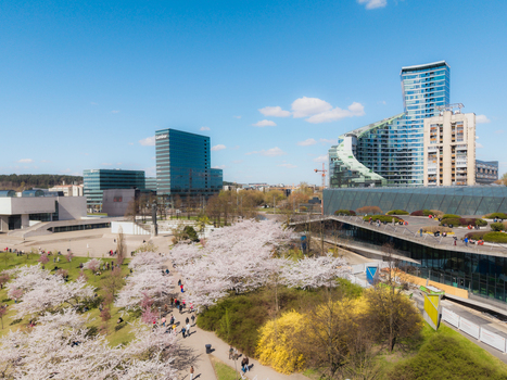 Aerial view of Chiune Sugihara Sakura Park with blooming cherry blossoms walking paths and modern glass skyscrapers under a clear blue sky in Vilnius Vilniaus apskritis Lithuania. Aerial view of Chiune Sugihara Sakura Park with blooming cherry blossoms walking paths and modern glass skyscrapers under a clear blue sky in Vilnius Vilniaus apskritis Lithuania.
