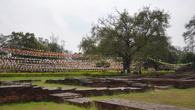 View of the sacred Bodhi tree and prayer flags in Lumbini Nepal.