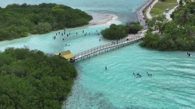Aerial view of people swimming by a wooden bridge in Thulusdhoo Maldives. Aerial view of people swimming by a wooden bridge in Thulusdhoo Maldives.