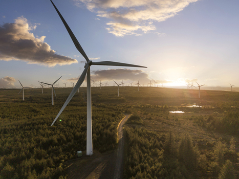 Aerial view of wind turbines at Eaglesham Moor surrounded by dense evergreen forests during a golden sunset Kilmarnock Scotland United Kingdom.