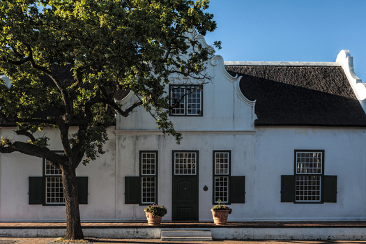 View of a traditional Cape Dutch house with a white facade thatched roof and dark shutters framed by a large tree in South Africa.