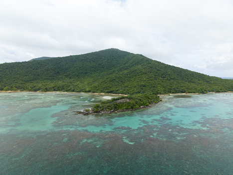 Aerial view of the island s lush green vegetation meeting the turquoise waters of Annora Beach Karimunjawa Jawa Tengah Indonesia.