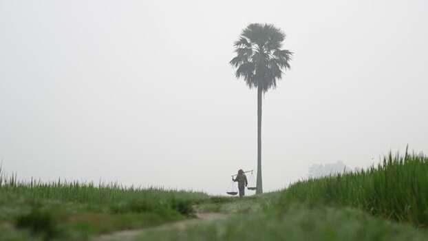 View of a farmer carrying baskets in green fields Bangladesh. View of a farmer carrying baskets in green fields Bangladesh.