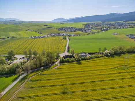 Aerial view of the historic gothic church of All Saints surrounded by blooming yellow rapeseed fields and green meadows Ludrova Zilina Region Slovakia. Aerial view of the historic gothic church of All Saints surrounded by blooming yellow rapeseed fields and green meadows Ludrova Zilina Region Slovakia.
