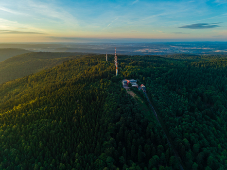 Aerial view of the Max Planck Institute for Astronomy and radio tower nestled in a dense forest during golden hour in Heidelberg Baden Wurttemberg Germany.