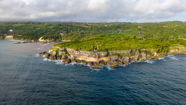 Aerial view of Cabo Frances Viejo featuring rugged cliffs lush green vegetation and the deep blue Atlantic Ocean in Cabrera Maria Trinidad Sanchez Dominican Republic.