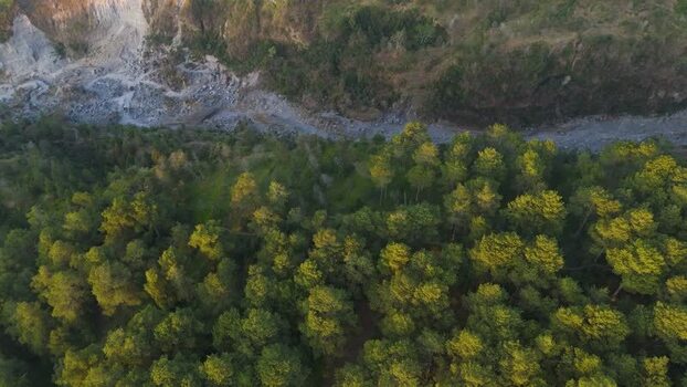 Aerial view of forest and rocky riverbed in Indonesia.