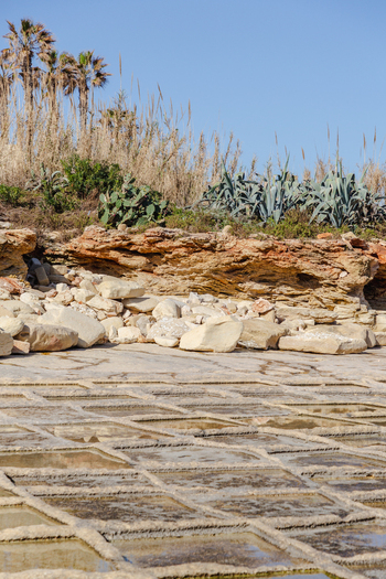 View of salt pans reflecting the clear sky contrasting with the rugged coastline vegetation and rocky textures Marsaskala Malta. View of salt pans reflecting the clear sky contrasting with the rugged coastline vegetation and rocky textures Marsaskala Malta.