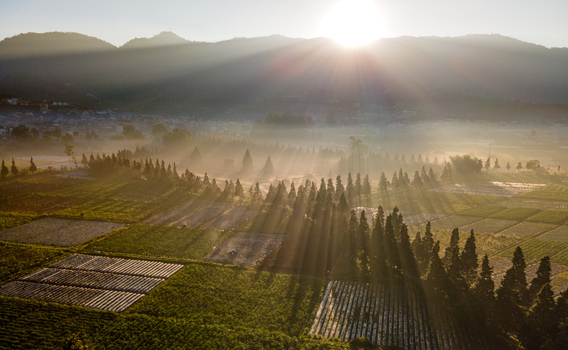 Aerial view of Dieng Plateau at sunrise with golden sun rays piercing through the mist over agricultural fields and rows of trees in Kecamatan Batur Jawa Tengah Indonesia. Aerial view of Dieng Plateau at sunrise with golden sun rays piercing through the mist over agricultural fields and rows of trees in Kecamatan Batur Jawa Tengah Indonesia.