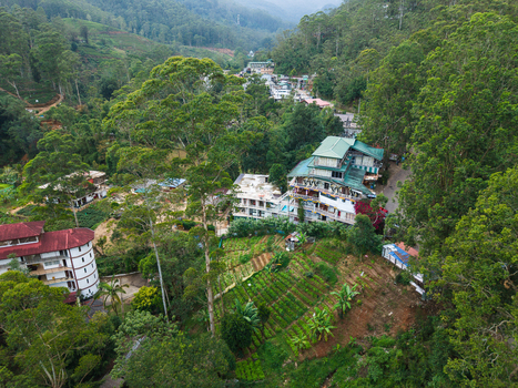 Aerial view of buildings nestled among lush tropical greenery and terraced gardens in a misty valley Nallathanniya Central Province Sri Lanka. Aerial view of buildings nestled among lush tropical greenery and terraced gardens in a misty valley Nallathanniya Central Province Sri Lanka.