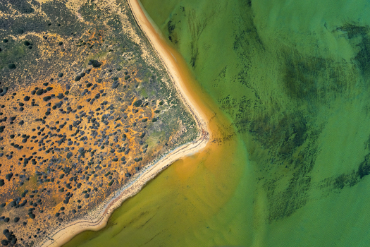 Aerial view of the Shark Bay coastline showing the contrast between the orange desert landscape and vibrant green shallow waters. Shire of Shark Bay Western Australia Australia. Aerial view of the Shark Bay coastline showing the contrast between the orange desert landscape and vibrant green shallow waters. Shire of Shark Bay Western Australia Australia.