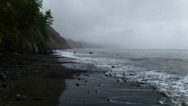 Aerial view of the rugged Lost Coast featuring a black sand beach crashing waves and misty cliffs under a heavy overcast sky in Humboldt County California United States.