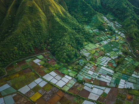 Aerial view of the Sembalun agricultural basin with its patchwork of vibrant green and brown fields nestled at the foothills of Mount Rinjani Sembalun West Nusa Tenggara Indonesia. Aerial view of the Sembalun agricultural basin with its patchwork of vibrant green and brown fields nestled at the foothills of Mount Rinjani Sembalun West Nusa Tenggara Indonesia.