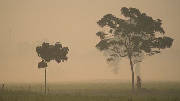 View of a person walking in a misty field Bangladesh. View of a person walking in a misty field Bangladesh.