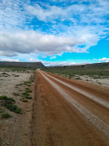 View of a dirt road winding through the semi arid landscape of Anysberg Nature Reserve with distant hills under a cloudy blue sky in Anysberg Western Cape South Africa. View of a dirt road winding through the semi arid landscape of Anysberg Nature Reserve with distant hills under a cloudy blue sky in Anysberg Western Cape South Africa.