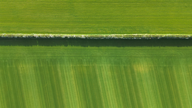Aerial view of field patterns with a straight hedgerow dividing lush green agricultural land in the United Kingdom.