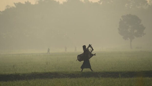 View of a fisherman walking through a misty field Bangladesh.