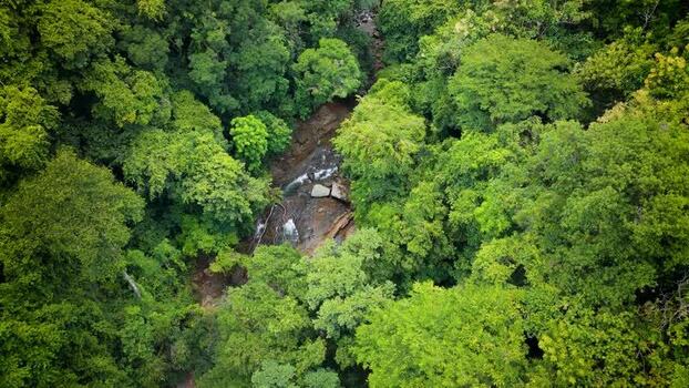 Aerial view of rainforest stream in Costa Rica. Aerial view of rainforest stream in Costa Rica.
