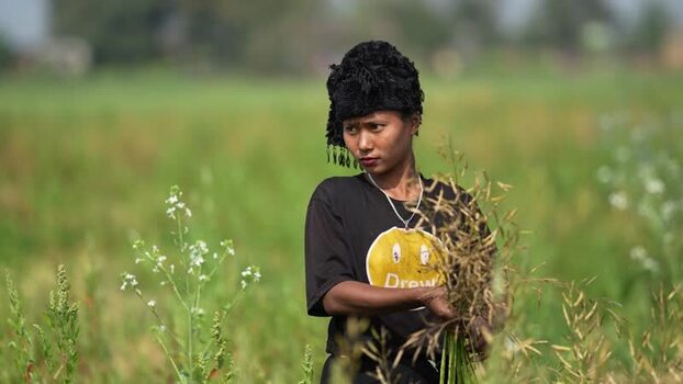 View of a Tharu woman harvesting crops in a field Nepal.