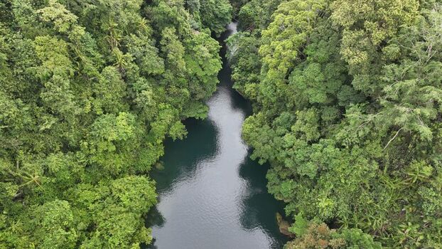 Aerial view of a calm river winding through a dense tropical forest with lush green trees and thick canopy in Pangandaran West Java Indonesia. Aerial view of a calm river winding through a dense tropical forest with lush green trees and thick canopy in Pangandaran West Java Indonesia.