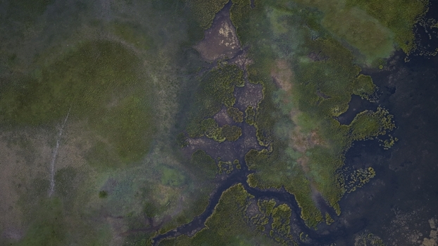Aerial view of Song Kul lake with its intricate marshy shoreline vibrant green wetlands and dark water patterns in Naryn Region Kyrgyzstan. Aerial view of Song Kul lake with its intricate marshy shoreline vibrant green wetlands and dark water patterns in Naryn Region Kyrgyzstan.