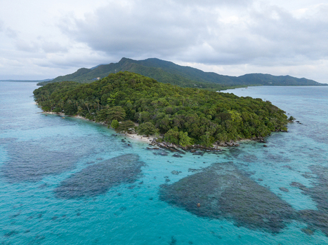 Aerial view of a lush tropical island fringed by turquoise waters and coral reefs Tanjung Gelam Beach Karimunjawa Central Java Indonesia. Aerial view of a lush tropical island fringed by turquoise waters and coral reefs Tanjung Gelam Beach Karimunjawa Central Java Indonesia.
