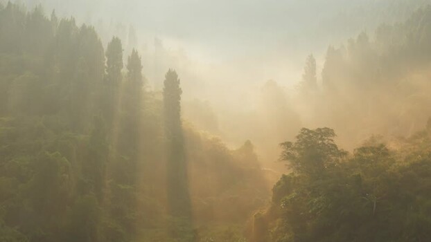 Aerial view of misty forest and sunbeams in Sukabumi Indonesia. Aerial view of misty forest and sunbeams in Sukabumi Indonesia.