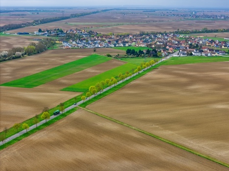 Aerial view of a road lined with trees cutting through brown fields towards a distant village Neuf Brisach Grand Est France.