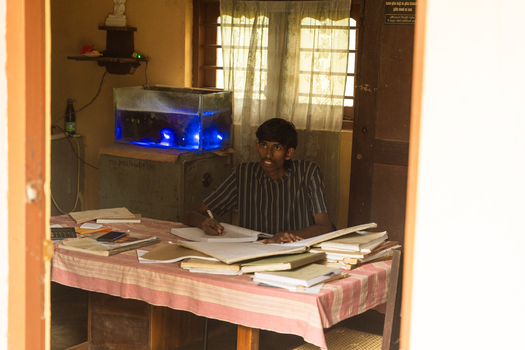 Sri Lanka 06 February 2026 View of a young man sitting at a desk filled with books and papers while writing in an office.
