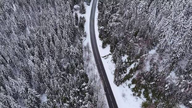 Aerial view of a winding road in a snowy forest Austria.