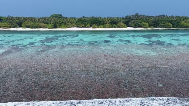 Aerial view of tropical island and coral reef in Maldives. Aerial view of tropical island and coral reef in Maldives.