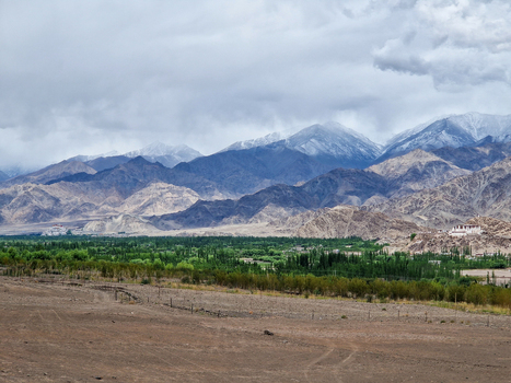 View of the snow capped Himalayan mountains rising above the lush green valley and traditional architecture in Leh Ladakh India.