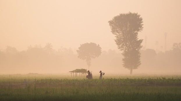 View of farmers walking through misty fields in Bogura Bangladesh.