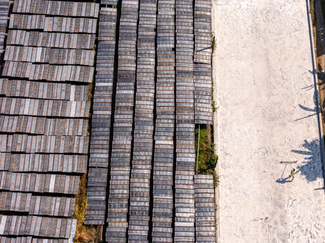 Aerial view of a worker raking a large light colored drying area beside rows of dark wooden frames Polanharjo Central Java Indonesia.