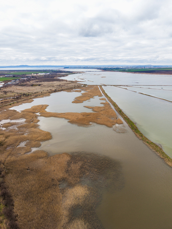 Aerial view of Lake Atanasovsko featuring salt pans and golden reeds with the city skyline in the distance under a cloudy sky in Burgas Burgas Bulgaria. Aerial view of Lake Atanasovsko featuring salt pans and golden reeds with the city skyline in the distance under a cloudy sky in Burgas Burgas Bulgaria.