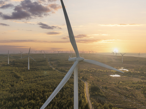 Aerial view of wind turbines at Eaglesham moor during a golden sunset over forested hills in Kilmarnock Scotland United Kingdom.
