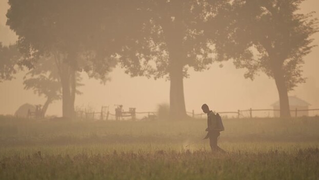 View of a farmer spraying crops in a misty field Bangladesh.
