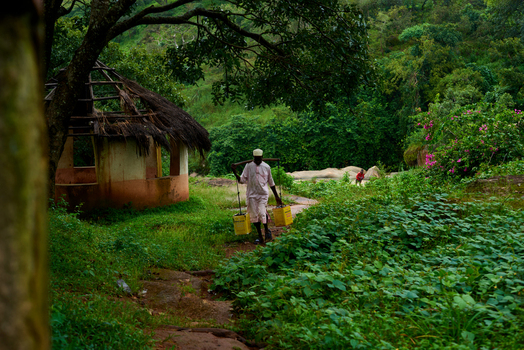 Riyom Nigeria 17 September 2026 Aerial view of a man carrying water containers on a yoke along a path near a traditional hut in the lush green landscape of the Riyom rock formation.
