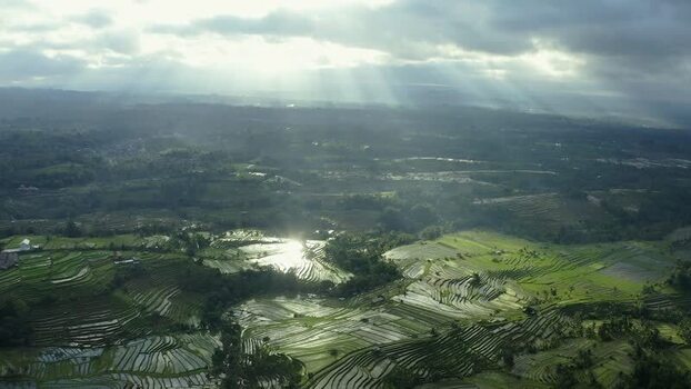 Aerial view of Jatiluwih rice terraces under sunbeams in Penebel Indonesia.