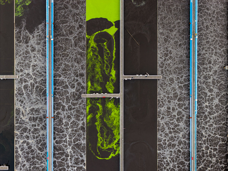 Aerial view of the Klarwerk Ruhleben wastewater treatment plant featuring aeration tanks with bubbling water and vibrant green biological treatment zones in Berlin Berlin Germany.