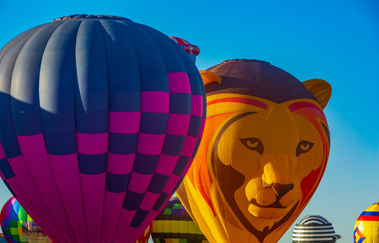 Albuquerque United States 09 October 2017 View of vibrant hot air balloons one adorned with a lion s face rising against a brilliant blue sky.