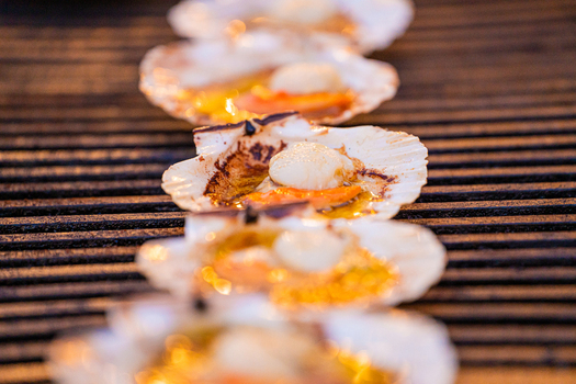 View of grilled scallops in their shells glistening with vibrant orange and white hues resting on dark parallel grill bars Pula Istria County Croatia.