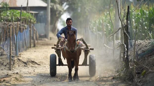 View of a man riding a horse cart on a dusty rural road Bangladesh. View of a man riding a horse cart on a dusty rural road Bangladesh.