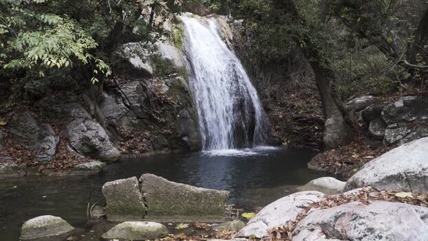 View of a cascading waterfall in a lush forest on the island of Thasos Greece.