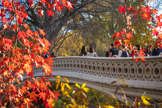 Manhattan United States 08 November 2025 View of the iconic Bow Bridge in Central Park framed by the fiery hues of autumn leaves against the soft golden light of a late afternoon. Manhattan United States 08 November 2025 View of the iconic Bow Bridge in Central Park framed by the fiery hues of autumn leaves against the soft golden light of a late afternoon.