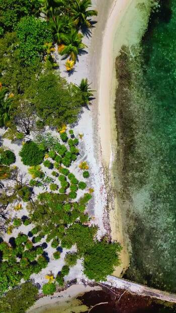 Aerial view of the tropical coastline and palm trees in Guanaja Honduras. Aerial view of the tropical coastline and palm trees in Guanaja Honduras.