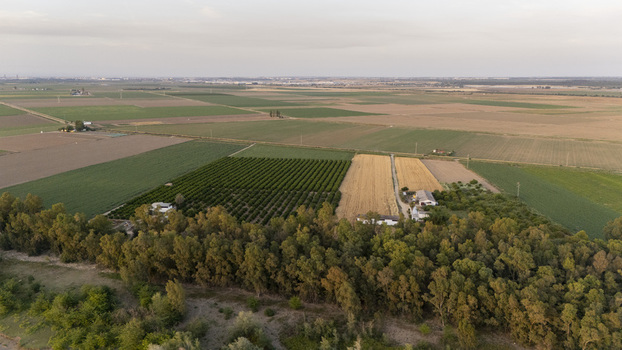 Aerial view of vast agricultural fields with green crops and golden wheat beside a line of dense trees and a small farmhouse Coria del Rio Andalusia Spain. Aerial view of vast agricultural fields with green crops and golden wheat beside a line of dense trees and a small farmhouse Coria del Rio Andalusia Spain.