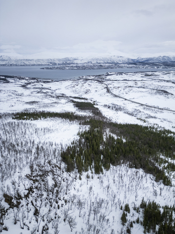 Aerial view of snow covered hills with evergreen forests and a winding road leading towards a fjord and distant mountains Kvaloya Troms Norway. Aerial view of snow covered hills with evergreen forests and a winding road leading towards a fjord and distant mountains Kvaloya Troms Norway.